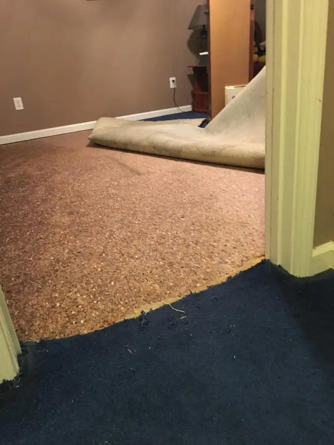 Carpet pad removal revealing water damage during Water Mitigation Services in Lower
