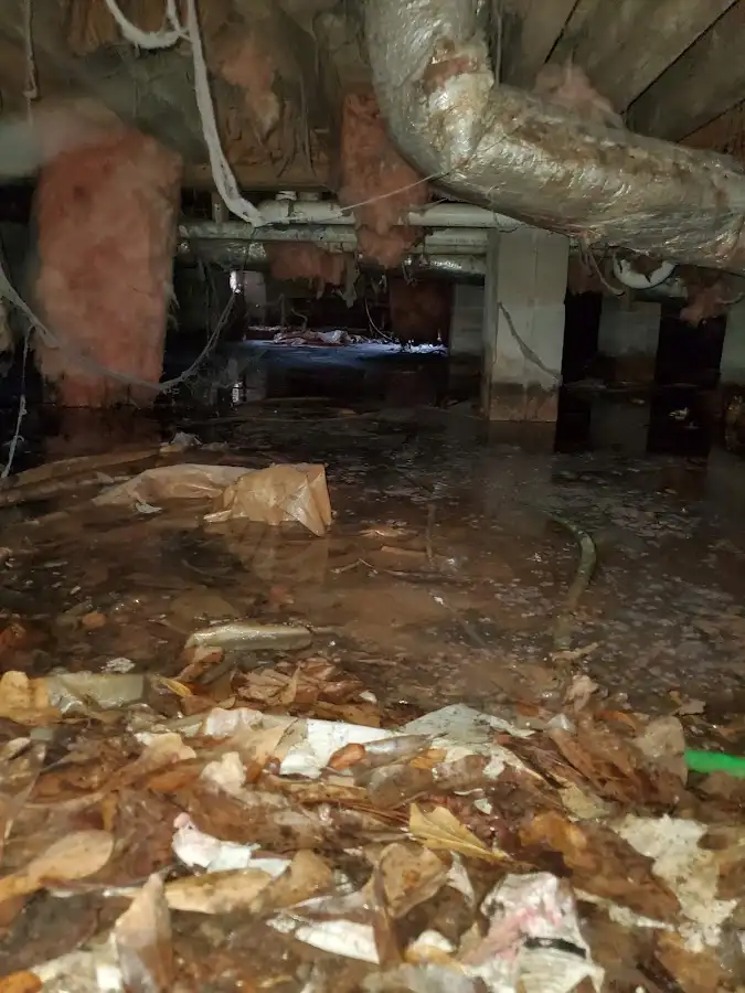 Crawl space flood assessment for Leak Detection & Repair in Lower