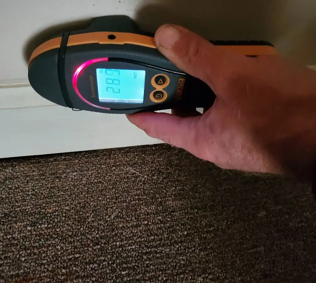 Moisture detection at baseboard during Sewage Cleanup & Sanitation in Lower
